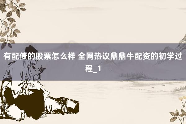 有配债的股票怎么样 全网热议鼎鼎牛配资的初学过程_1
