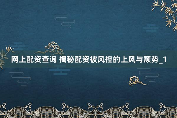 网上配资查询 揭秘配资被风控的上风与颓势_1